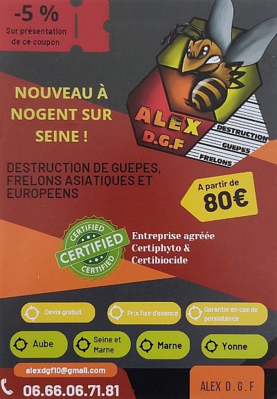 Promo Alex DGF